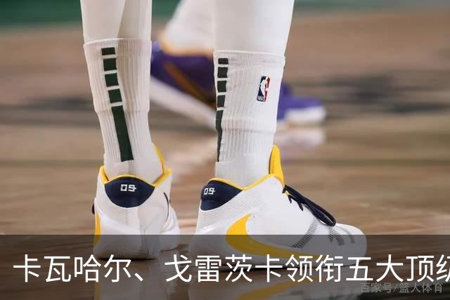 卡瓦哈尔、戈雷茨卡领衔五大顶级自由身，曼联中场迎来补强契机