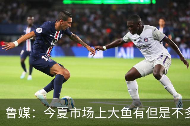 鲁媒：今夏市场上大鱼有但是不多 听说有南方球队会放出几个队员
